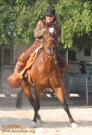 Note the loose reins as the colt side-passes on the rider's leg cues alone, a Spanish style of riding known as "a la jinete" (by the rider's body, as opposed to "by the bit")